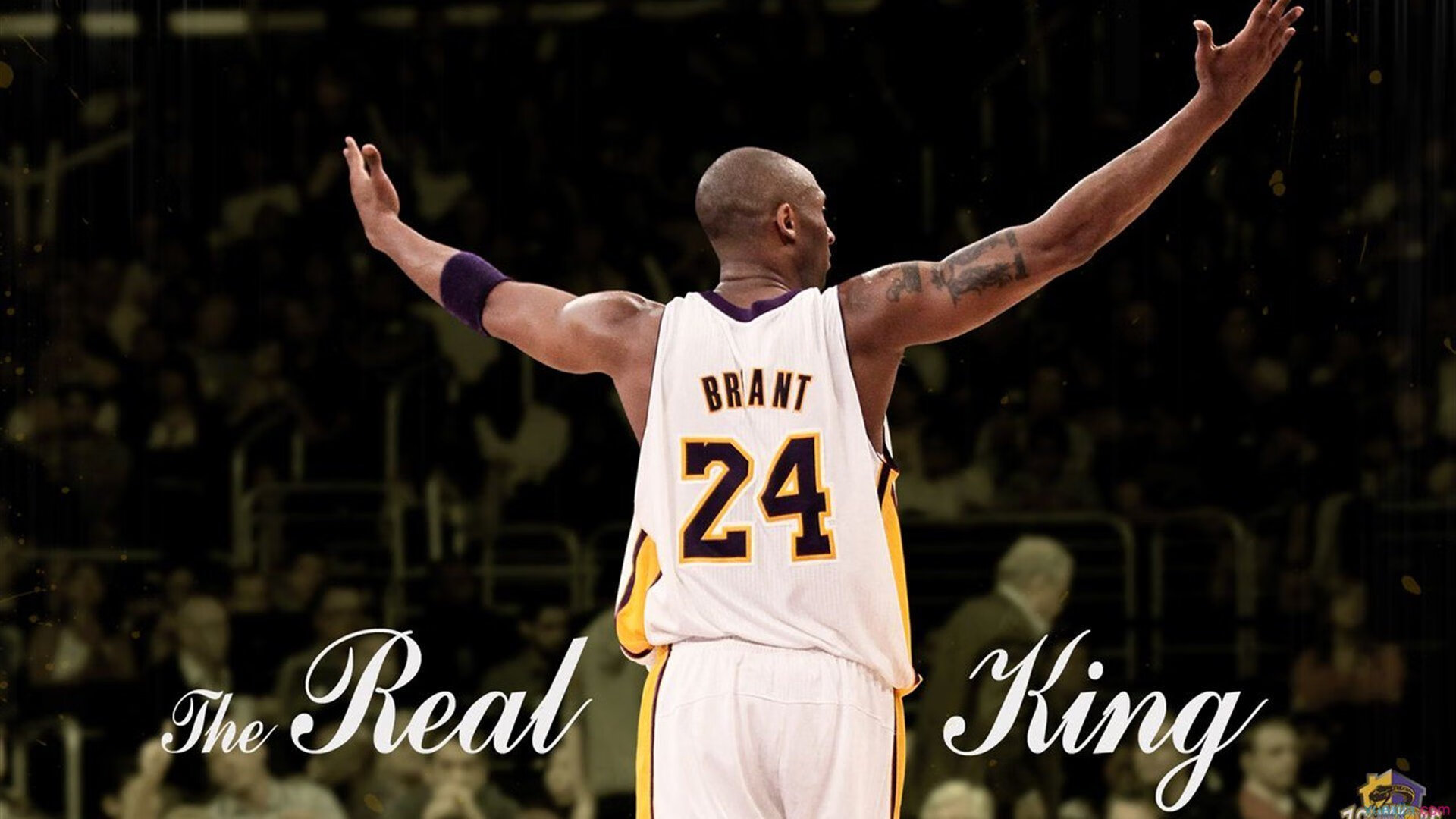 美洲杯风云变幻:逆袭、绝杀、奇迹不断上演,美洲杯经典